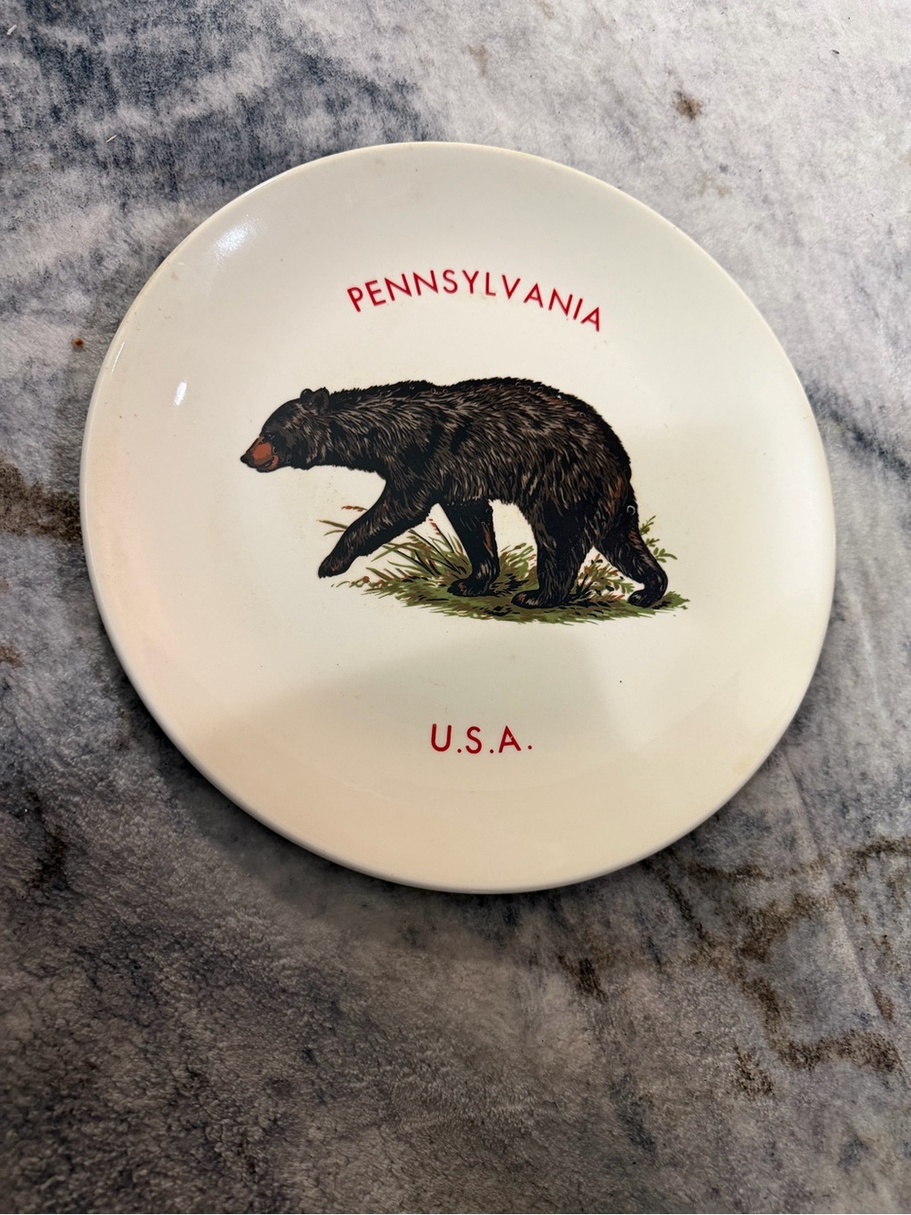 Pennsylvania Black Bear Decorative Plate - White